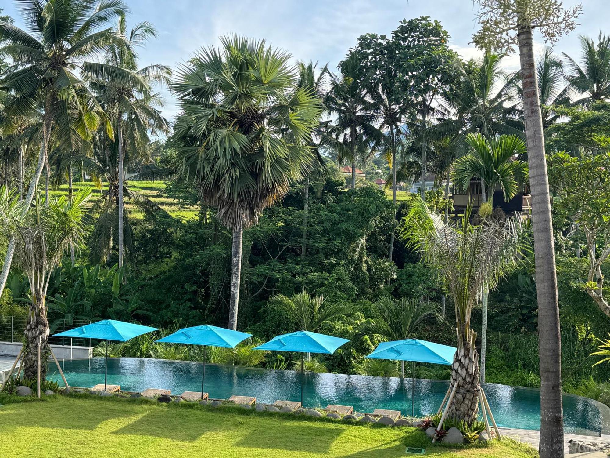 Rudra Sahashrara Bali - Ayurvedic - Health And Wellness Resort Ubud Extérieur photo